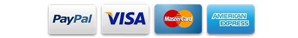 PayPal, Visa, Mastercard, American Express